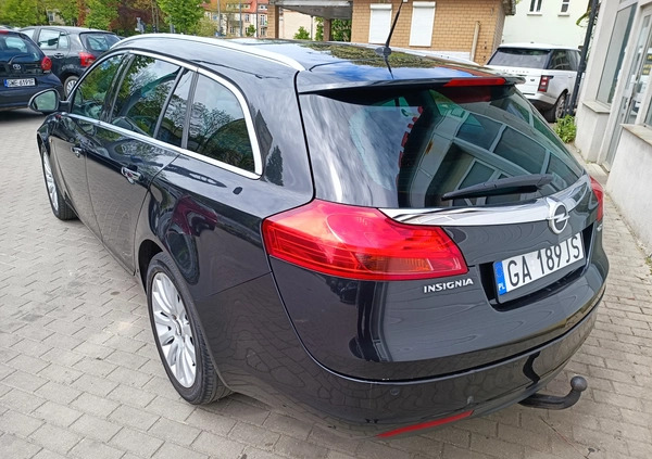 Opel Insignia cena 22900 przebieg: 233372, rok produkcji 2010 z Czersk małe 436